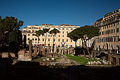 IMG_4366.jpeg